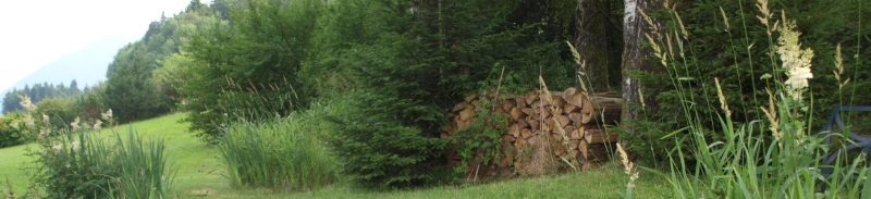 Nach dem Häckseln Nach dem Häckseln